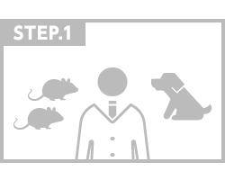 STEP.1